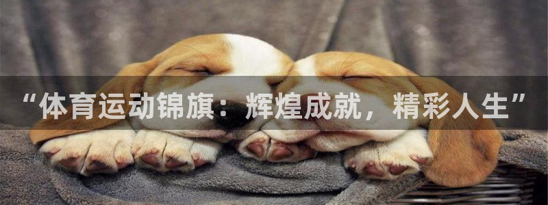 杏悦23平台登录注册
