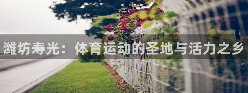 杏悦2代理