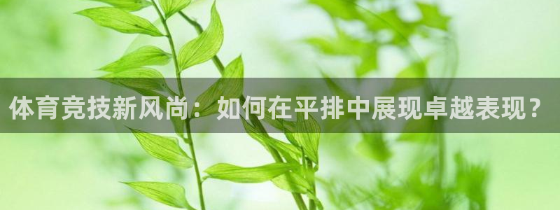 杏悦2娱乐平台