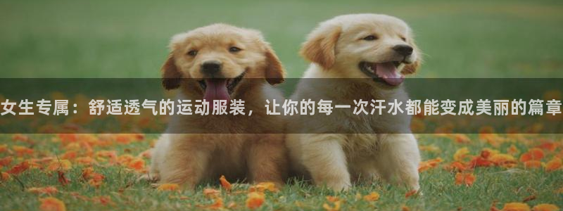 杏悦2集团股票