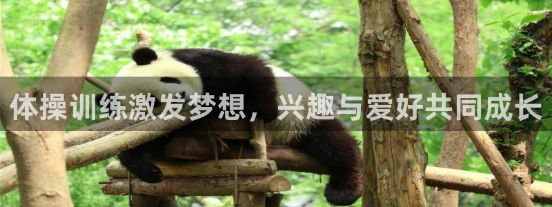 杏悦2体育2官网入口