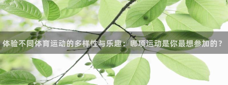 杏悦2体育app下载