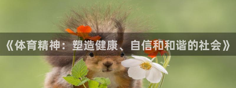 杏悦2代理