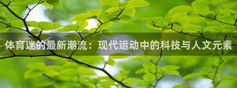 杏悦2体育