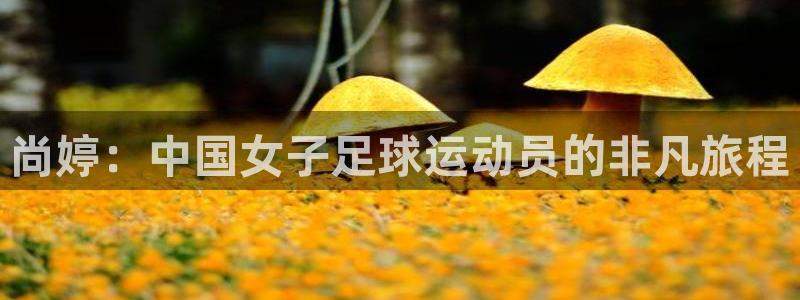 杏悦2体育4