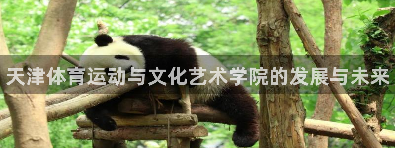 杏悦2体育代理申请流程