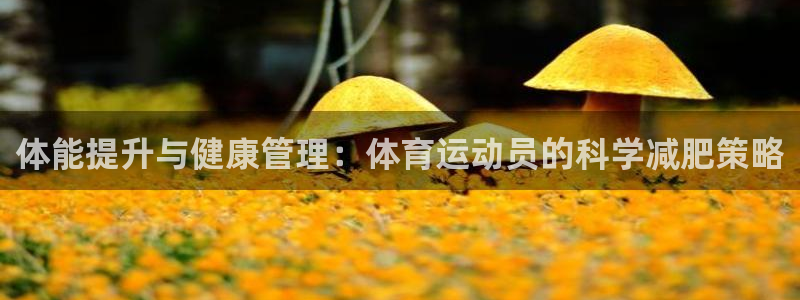 上海杏悦2汽车电子有限公司