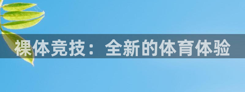 杏悦2平台注册开户