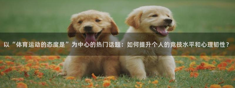 杏悦2凯捷平台注册链接