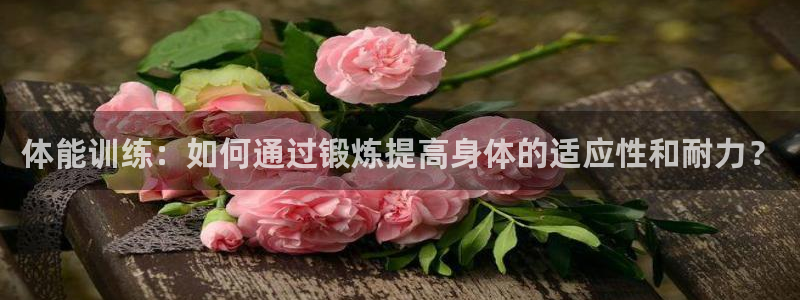 杏悦2凯捷平台注册链接