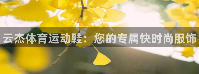 杏悦2股份
