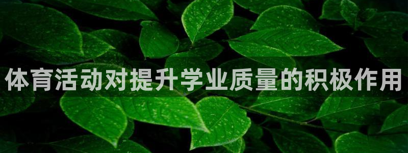 杏悦22平台登录