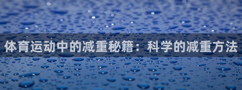杏悦2体育凯捷平台主管