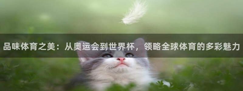 杏悦2平台注册入口