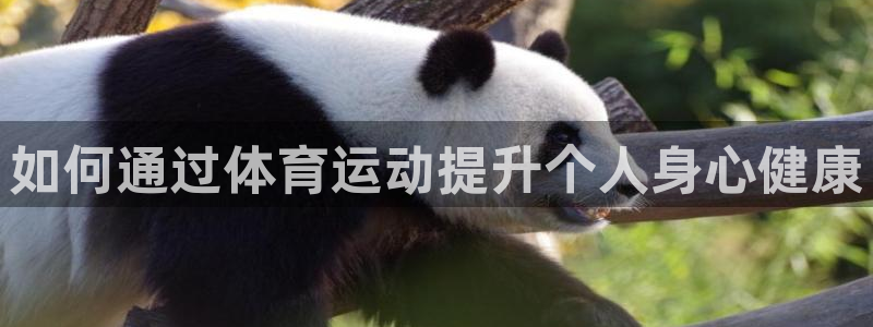 杏悦2体育f开号