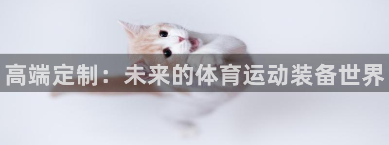 杏悦2集团官网