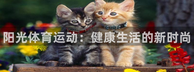 杏悦2体育4