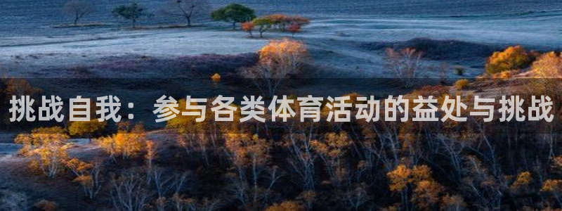 杏悦2包怎么样